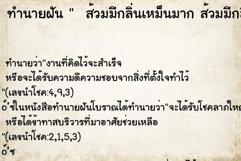 ทำนายฝันทำนายฝันส้วมมีกลิ่นเหม็นมากส้วมมีกลิ่นเหม็นมาก